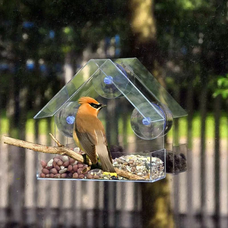 אקריליק שקוף הציפורים חלון הר עם כוס יניקה חזקה זרע מגש חיצוני ציפור מזין עבור פינץ ' החשמן הציפור הכחולה - 2
