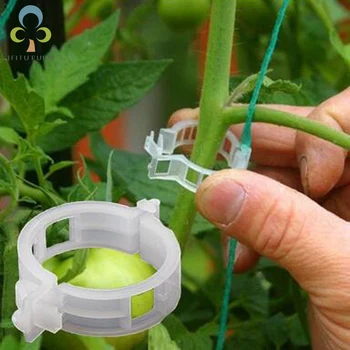 50/100Pcs פלסטיק הפרגולה עגבניות קליפים תומך מתחבר לשתול גפנים הפרגולה מפותלים כלובים חממה ירקות צמחים בגינה קליפ ZXH